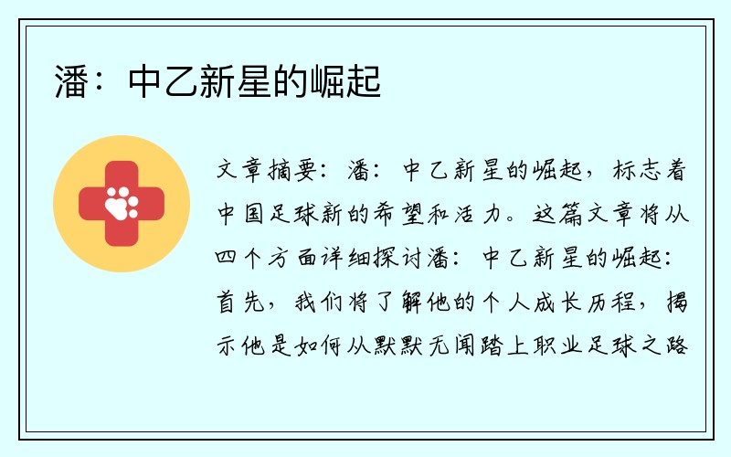 潘：中乙新星的崛起